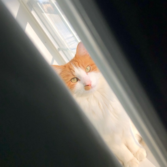 Meet the Posher Other - Meet your Posher, Valentina